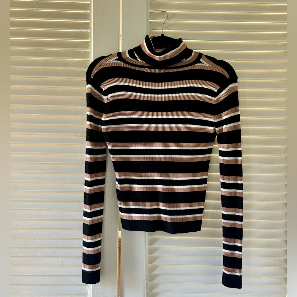 Zara Striped Turtleneck Sweater